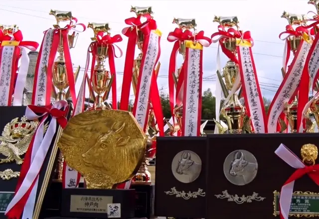 神戸髙見牛牧場産但馬牛が内閣総理大臣賞(全国優勝)ほか多数